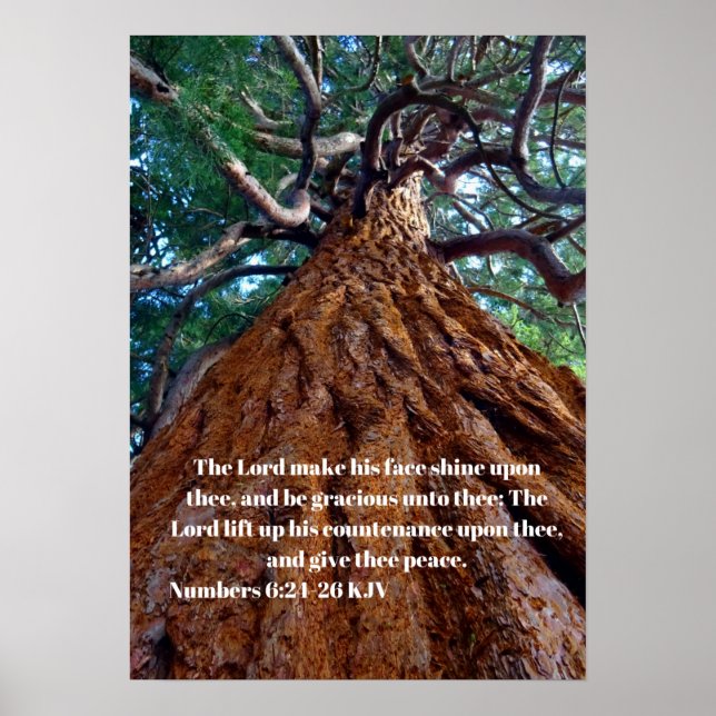 Póster The Lord make his face shine upon, uplifting (Frente)