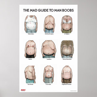 Póster The MAD Guide to Man B**bs Poster