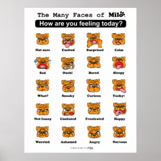 Póster The Many Faces of Milo