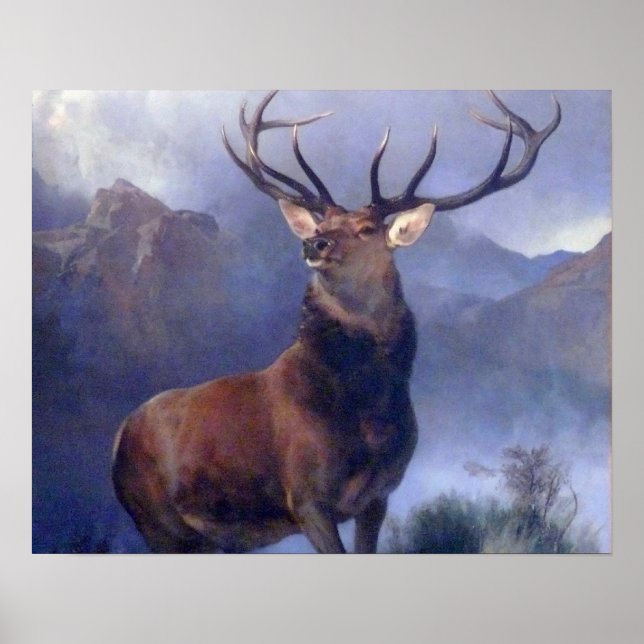 Póster The Monarch of Glen (Frente)