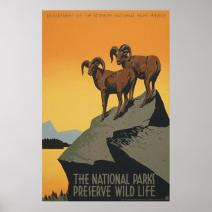 Póster The National Parks Preserve Wild Life