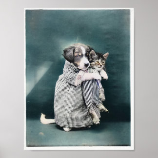 Póster The Nurse Puppy Caring For Kitten 1914 Colorized
