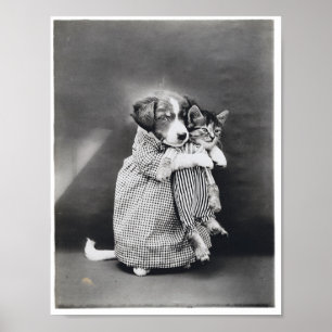 Póster The Nurse Puppy Kitten Harry Whittier Frees 1914