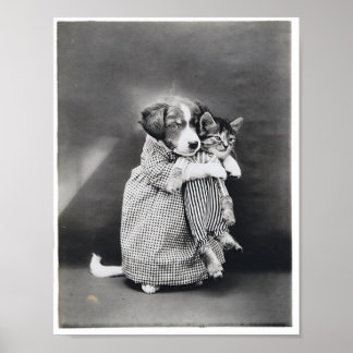 Póster The Nurse Puppy Kitten Harry Whittier Frees 1914