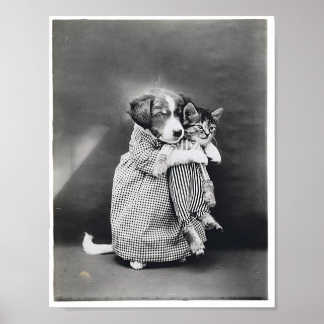Póster The Nurse Puppy Kitten Harry Whittier Frees 1914 (Frente)