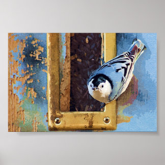 Póster The Nuthatch