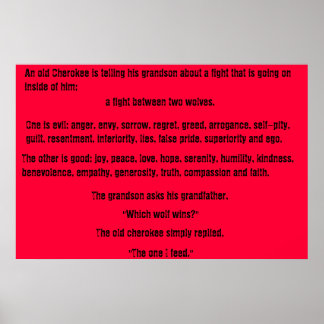 Póster The Old Cherokee