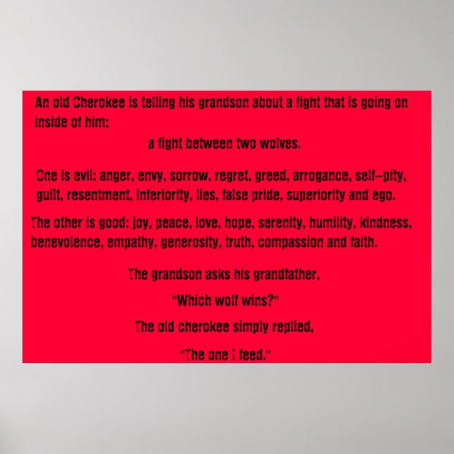 Póster The Old Cherokee (Frente)