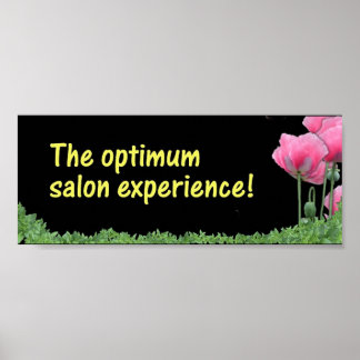 Póster The optimum