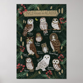 Póster The Owls found in Alaska Poster
