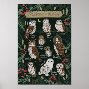 Póster The Owls found in Alaska Poster