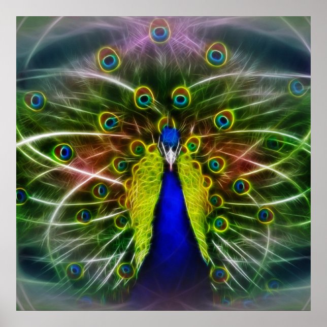 Póster The Peacock Dreamcatcher (Frente)