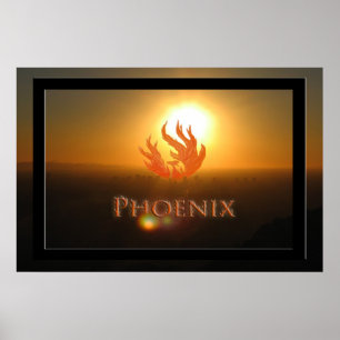 Póster The Phoenix 2