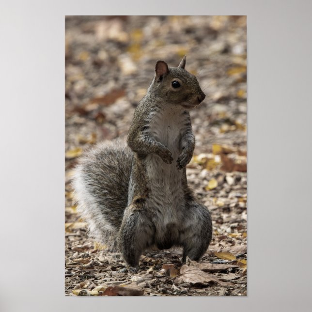 Póster The Pose (Frente)