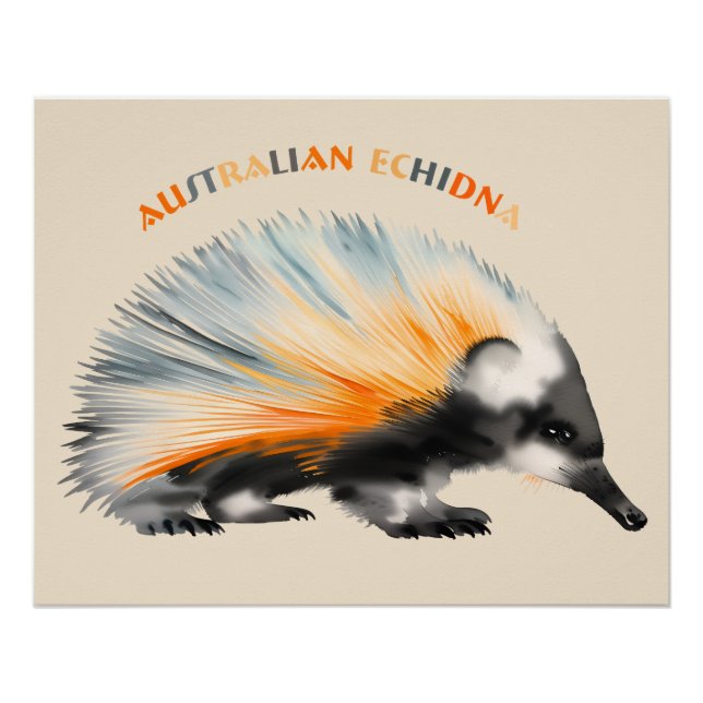 Póster The prickly Australian Echidna (Anverso)