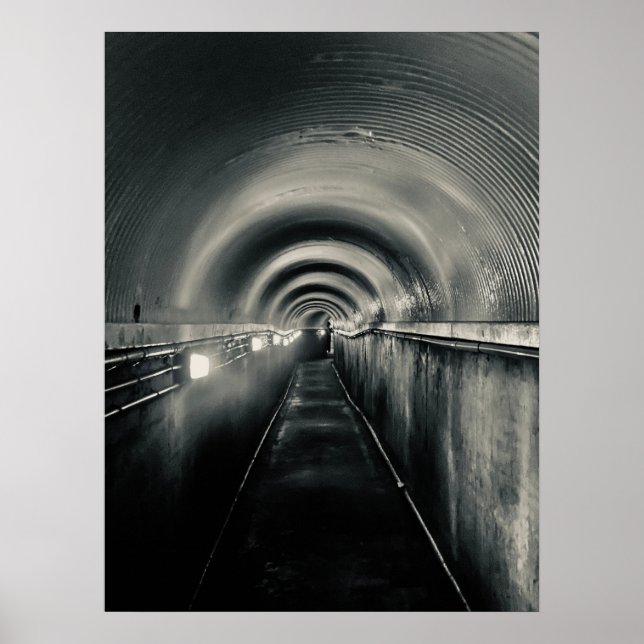 Póster The Quiet Passage (Frente)