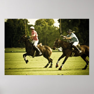 Póster The race