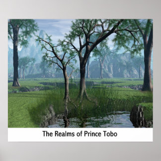 Póster The Realms Of Prince Tobo
