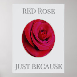 Póster THE RED Rose Poster