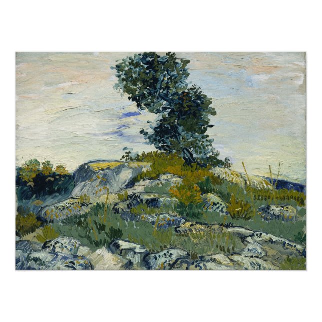 Póster The Rocks Vincent van Gogh (Anverso)