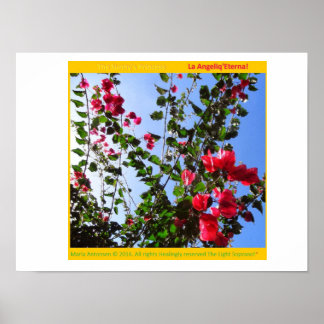 Póster The Rosariankrantz of the Aurorarian Lamp! *