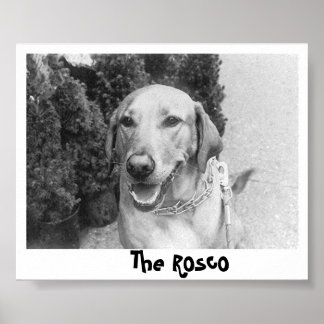 Póster The Rosco