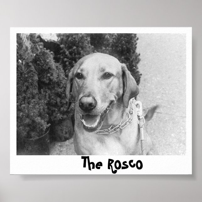 Póster The Rosco (Frente)