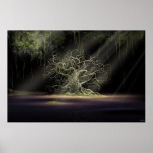 Póster The Secret 1