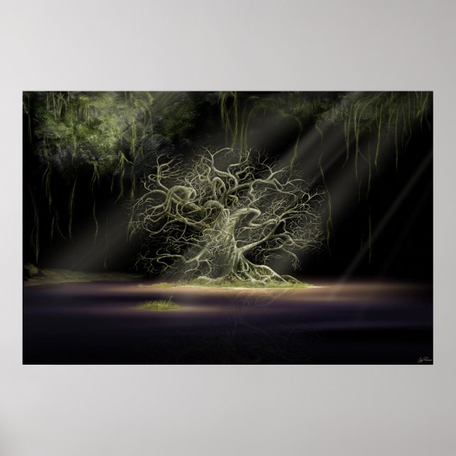 Póster The Secret 1 (Frente)