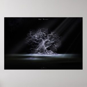 Póster The secret 2