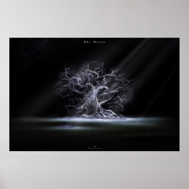 Póster The secret 2 (Frente)