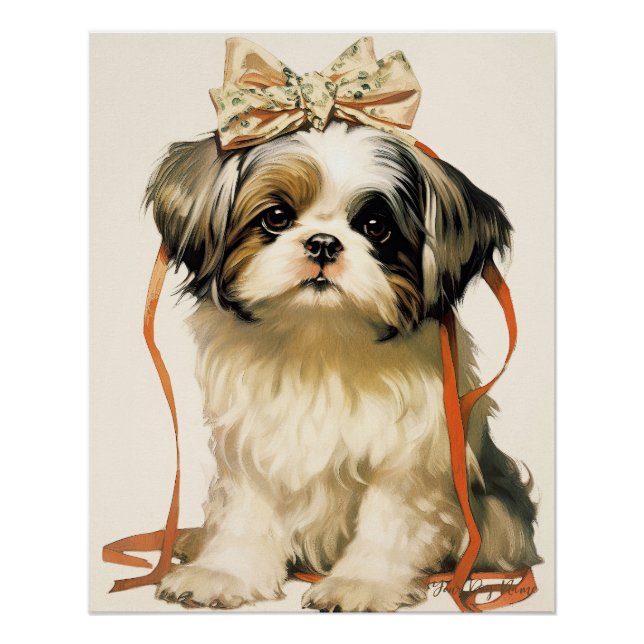 Póster The Shih Tzu Dog 001 - Odessa Leyendecker (Anverso)