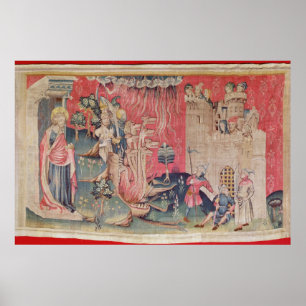 Póster The Siege of the Town