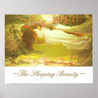 Póster The Sleeping Beauty~
