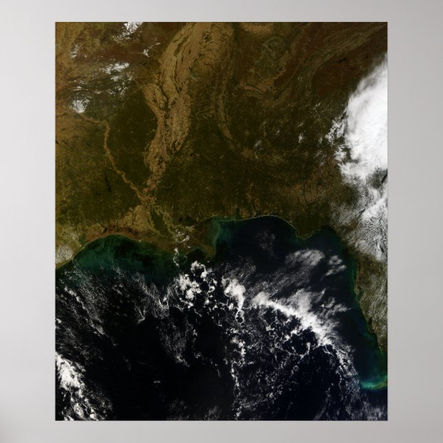 Póster The southeastern United States (Frente)