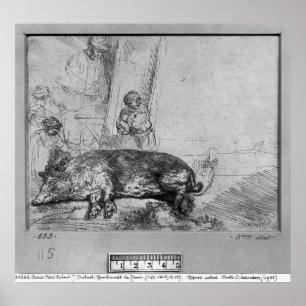 Póster The Sow, 1643