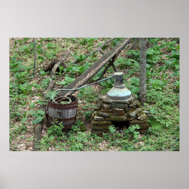 Póster The Still 1 (Frente)