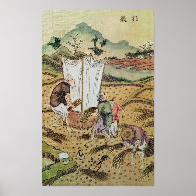 Póster The Story of Rice (Frente)