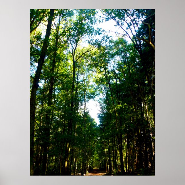 Póster The Straight and Narrow (Frente)