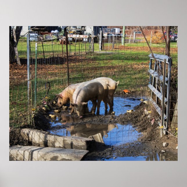 Póster The Trio (Frente)