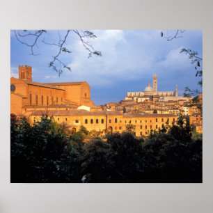 Póster The Tuscan village of Sienna, Italy.