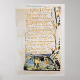 Póster The Tyger, from Songs of Innocence