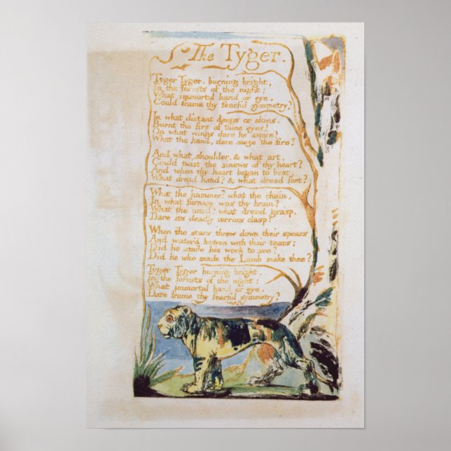 Póster The Tyger, from Songs of Innocence (Frente)