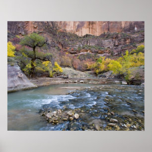 Póster The Virgin River in autumn in Zion National Park