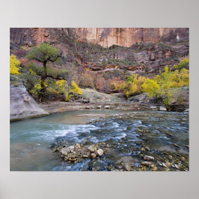 Póster The Virgin River in autumn in Zion National Park (Frente)