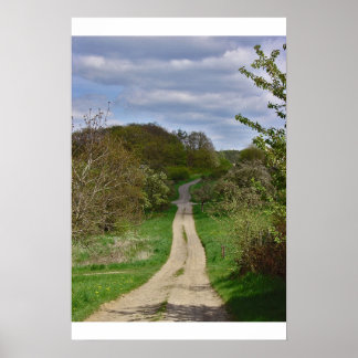 Póster The Way Home II