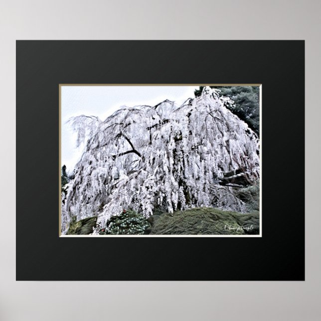 Póster The Weeping Cherry Tree: Ōno-ji temple (Frente)