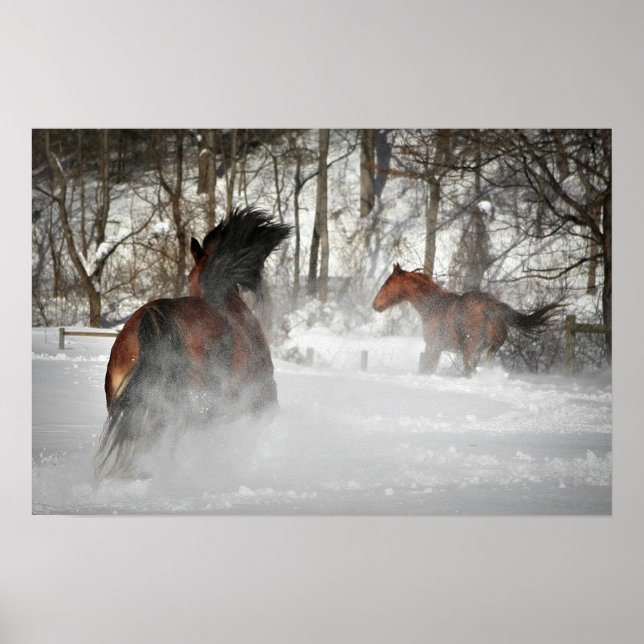 Póster The Winter Chase Horse Poster (Frente)
