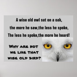 Póster THE WISE OLD OWL poster