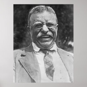 Póster Theodore "peluche" Roosevelt